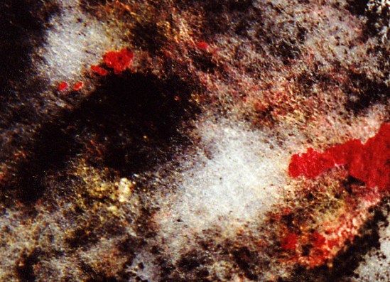 Pomegranate Painting #3 (2003)