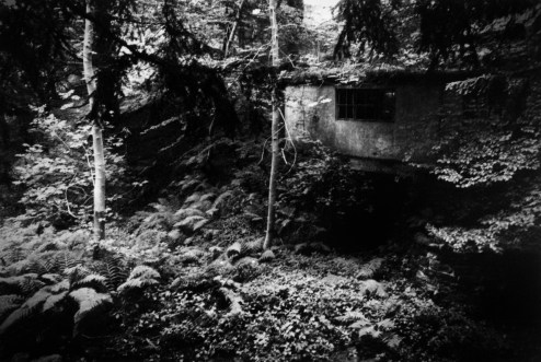 The Erl-King VI (2005)