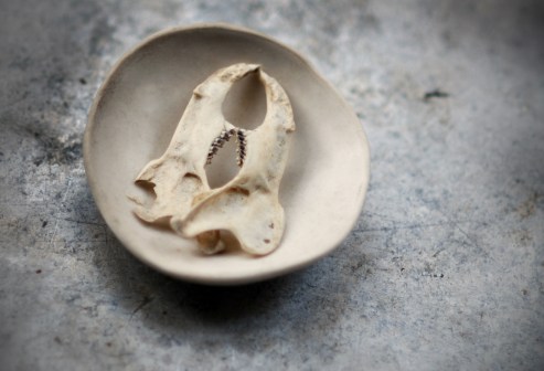 Jawbreaker II (2013)